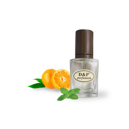 D&P R-05 promo Парфюмированная вода для мужчин 