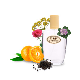 D&P TY-13 Нішева парфумерія
