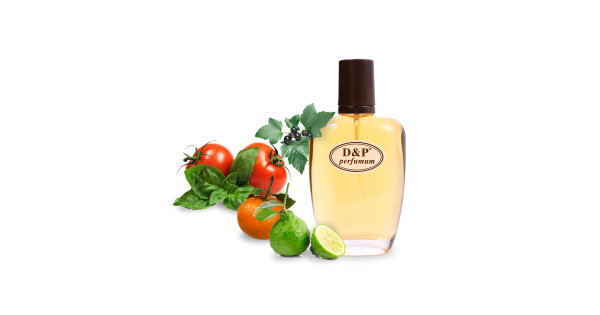 xvideos. 鈴木 沙彩　モザ無し リベンジ鈴木沙彩  くぱぁ 